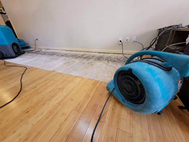 Professional Structural Drying technician working in Windom, TX